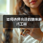 如何选择合适的猫咪磨爪工具 如何选择合适的猫咪磨爪工具