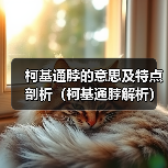 柯基通脖的意思及特点剖析（柯基通脖解析）