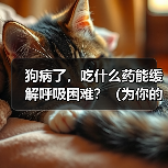 狗病了，吃什么药能缓解呼吸困难？（为你的宠物提供安全有效的治疗方案）