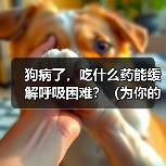 狗病了，吃什么药能缓解呼吸困难？（为你的宠物提供安全有效的治疗方案）