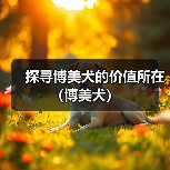 探寻博美犬的价值所在(博美犬) 探寻博美犬的价值所在(博美犬)