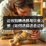 边牧狗粮选择与饮食习惯(如何选择适合边牧的狗粮和养成良好的饮食习惯) 边牧狗粮选择与饮食习惯(如何选择适合边牧的狗粮和养成良好的饮食习惯)