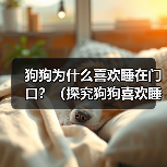 狗狗为什么喜欢睡在门口?(探究狗狗喜欢睡在门口的原因及影响) 狗狗为什么喜欢睡在门口?(探究狗狗喜欢睡在门口的原因及影响)