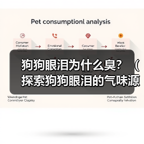 狗狗眼泪为何有臭味？原因及解决方法揭秘