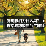 狗狗眼泪为何有臭味？原因及解决方法揭秘