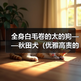 全身白毛卷的太的狗——秋田犬(优雅高贵的秋田犬,纯白外表带来的魅力) 全身白毛卷的太的狗——秋田犬(优雅高贵的秋田犬,纯白外表带来的魅力)