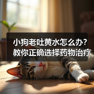 小狗老吐黄水怎么办?教你正确选择药物治疗(小狗消化问题导致呕吐黄色液体,应该选择哪种药物治疗?) 小狗老吐黄水怎么办?教你正确选择药物治疗(小狗消化问题导致呕吐黄色液体,应该选择哪种药物治疗?)