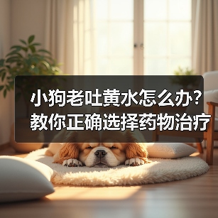小狗老吐黄水怎么办?教你正确选择药物治疗(小狗消化问题导致呕吐黄色液体,应该选择哪种药物治疗?) 小狗老吐黄水怎么办?教你正确选择药物治疗(小狗消化问题导致呕吐黄色液体,应该选择哪种药物治疗?)