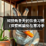 熊猫兔冬天的饮食习惯(探索熊猫兔在寒冷季节的食物选择) 熊猫兔冬天的饮食习惯(探索熊猫兔在寒冷季节的食物选择)
