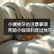 小猫换牙的注意事项（帮助小猫顺利度过换牙期的重要知识）