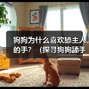 狗狗为什么喜欢舔主人的手?(探寻狗狗舔手行为的原因与意义) 狗狗为什么喜欢舔主人的手?(探寻狗狗舔手行为的原因与意义)