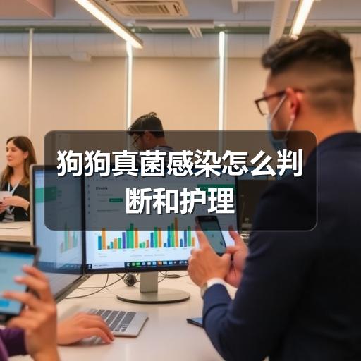 智穹界中山萌宠点集网 智穹界中山萌宠点集网
