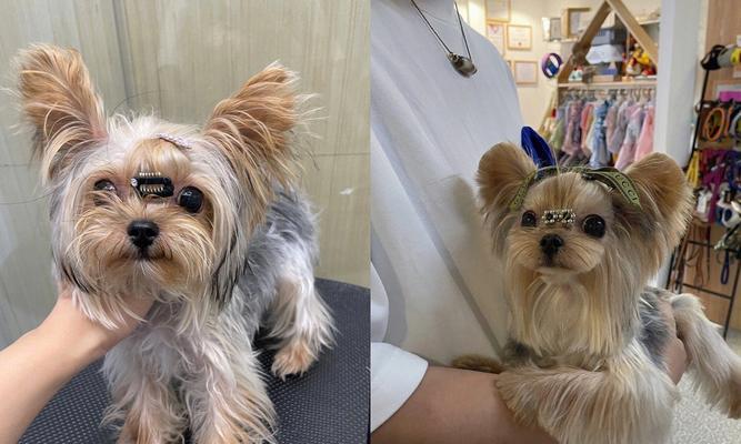 嘴唇下面长毛的原因解析与有效去除方法指南 嘴唇下面长毛的原因解析与有效去除方法指南