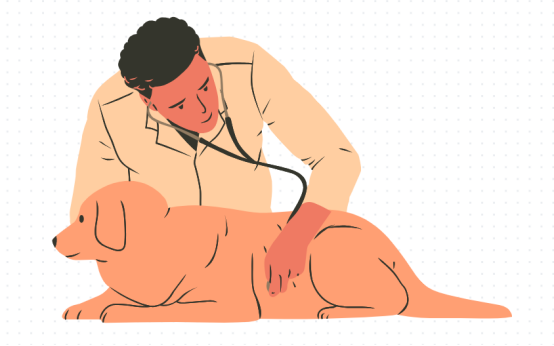 狗狗心丝虫的隐蔽危害与科学防治全指南