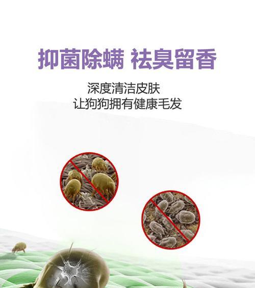 泰迪护毛素选购指南:15个技巧让狗狗毛发健康亮丽 泰迪护毛素选购指南:15个技巧让狗狗毛发健康亮丽