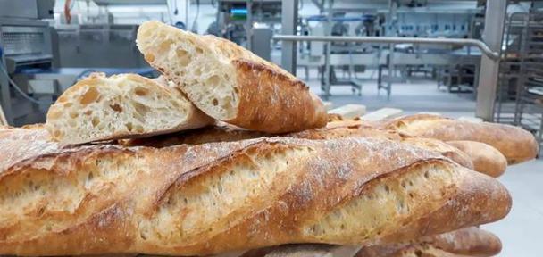 生产期间饮食保障方案:提升工作效率与员工健康 生产期间饮食保障方案:提升工作效率与员工健康