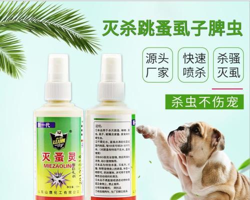 狗狗跳蚤有效治疗方法与药物选择使用指南