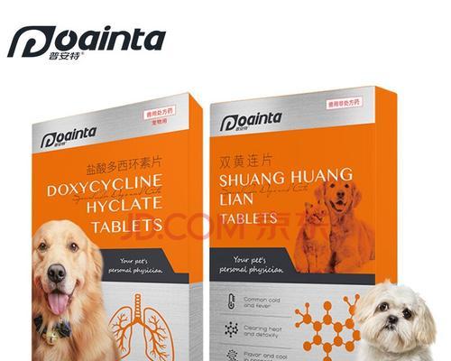 狗狗感冒治疗与护理全攻略:科学用药与康复指南 狗狗感冒治疗与护理全攻略:科学用药与康复指南