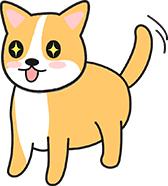 狗狗智商低的常见表现与判断方法，区分真傻和假笨的关键