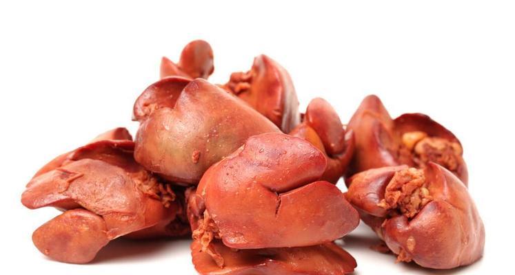 泰迪狗科学增重指南：健康饮食与营养管理全解析