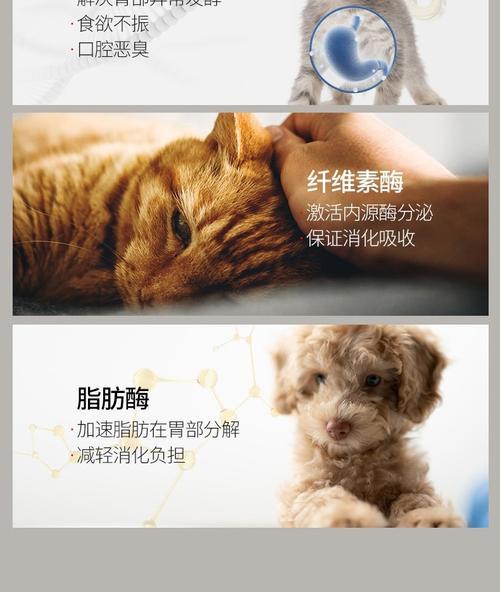 狗狗肠胃宝功效与使用指南,科学守护爱宠肠道健康 狗狗肠胃宝功效与使用指南,科学守护爱宠肠道健康