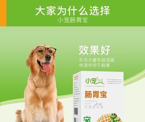 狗狗肠胃宝功效与使用指南,科学守护爱宠肠道健康 狗狗肠胃宝功效与使用指南,科学守护爱宠肠道健康