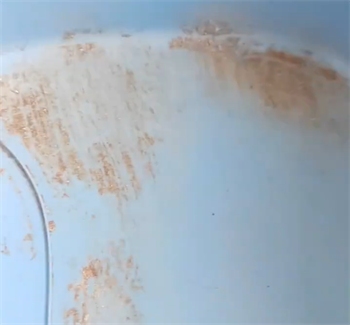 苹果木混合猫砂深度测评：结团除臭与粉尘粘底真实表现