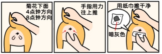 狗狗摩擦屁股的几种原因与处理指南，宠物主人必看