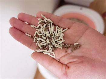 苹果木混合猫砂深度测评：结团除臭与粉尘粘底真实表现