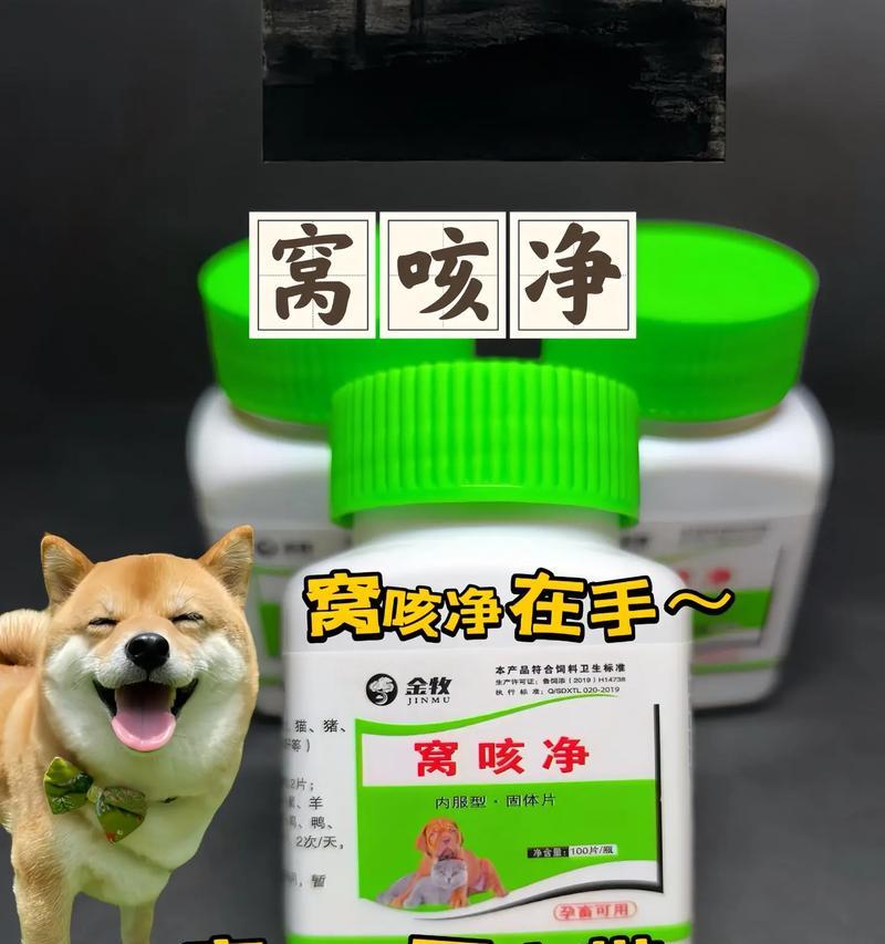 狗狗咳嗽吃什么药？常用药物与缓解方法全解析