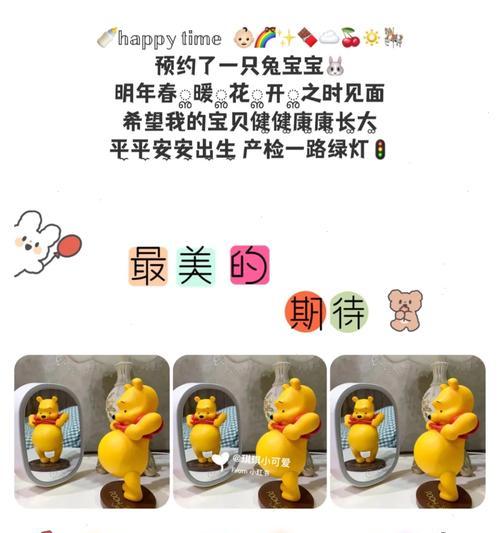 兔子怀孕期间饮食管理要点与科学喂养指南