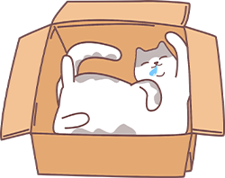 猫咪呼噜声不只是舒服？解析紧张与不适的潜在信号