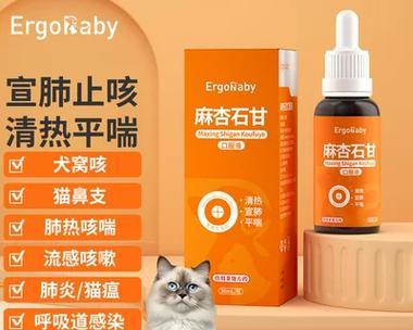 狗狗感冒治疗与护理全攻略:科学用药与康复指南 狗狗感冒治疗与护理全攻略:科学用药与康复指南