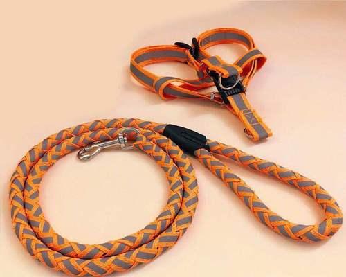 金毛牵引绳选购与使用全攻略，散步安全舒适指南