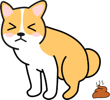 狗狗摩擦屁股的几种原因与处理指南，宠物主人必看