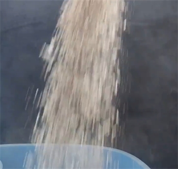 苹果木混合猫砂深度测评：结团除臭与粉尘粘底真实表现