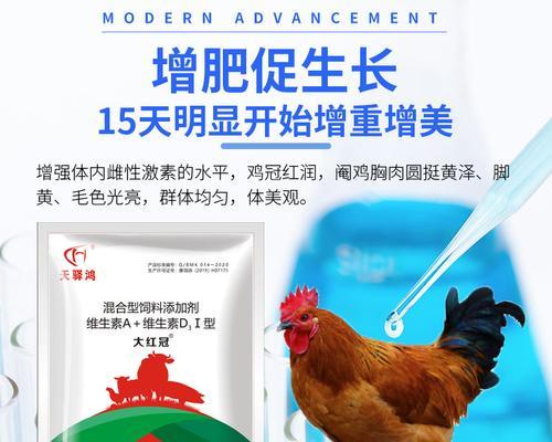 边牧毛发养护秘诀：科学饮食搭配日常护理全指南