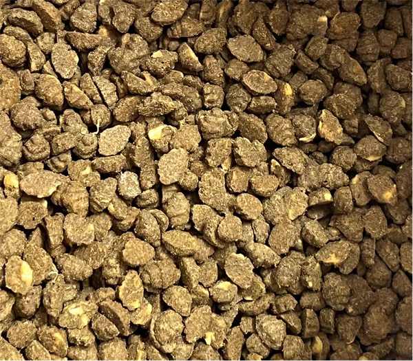 低温烘焙猫粮全方位测评：高蛋白低淀粉配方与美毛护肠功效深度解析