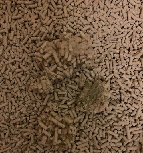 膀胱结晶形成原因、症状表现与有效治疗方法全解析 膀胱结晶形成原因、症状表现与有效治疗方法全解析