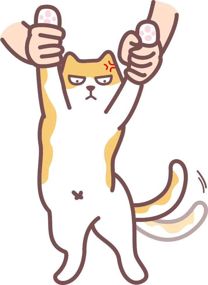 猫咪洗澡恐惧怎么办?脱敏训练方法分步详解 猫咪洗澡恐惧怎么办?脱敏训练方法分步详解