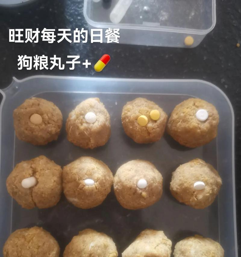 小狗不吃狗粮怎么办？15种健康替代食物与喂养建议
