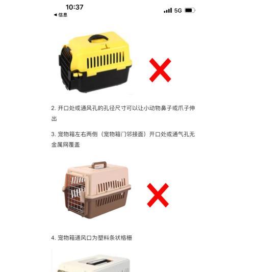 宠物航空托运全攻略：安全舒适带爱犬旅行必备指南
