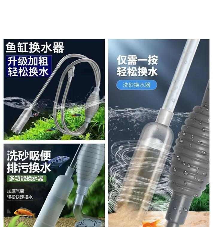 鱼缸清洁维护全攻略，打造健康水族环境