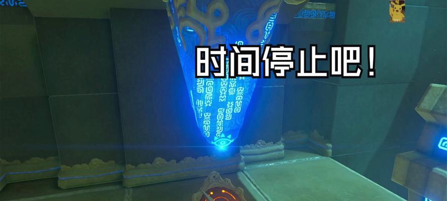 贵宾狗饮食禁忌与健康喂养指南，守护爱犬健康