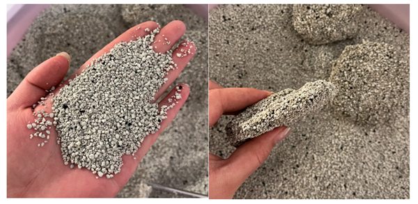 膨润土猫砂选购指南:脚感与除臭效果深度解析 膨润土猫砂选购指南:脚感与除臭效果深度解析