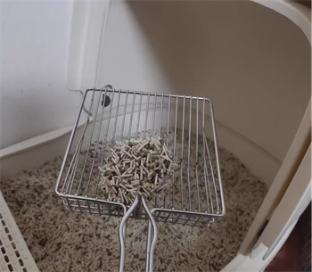 苹果木混合猫砂深度测评：结团除臭与粉尘粘底真实表现