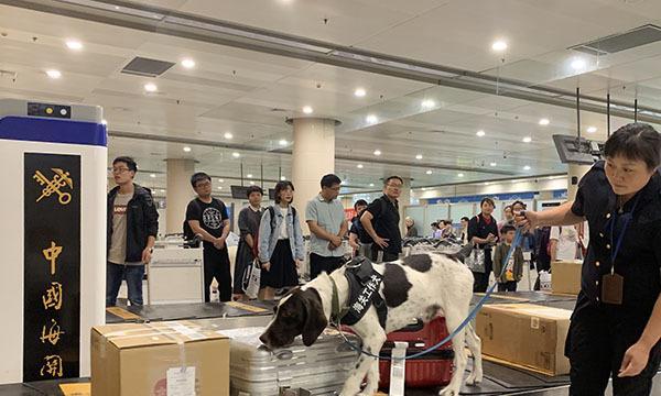 机场接宠全流程指南:手续准备与安全注意事项详解 机场接宠全流程指南:手续准备与安全注意事项详解