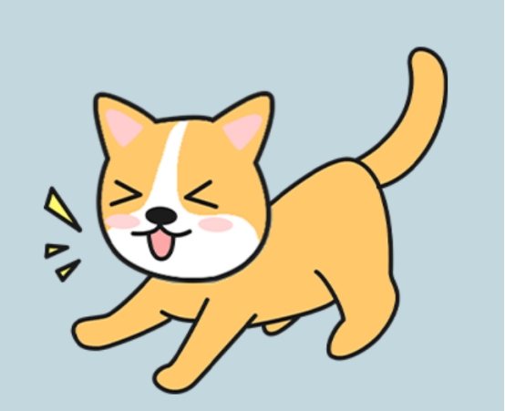 狗狗精力过剩怎么办？科学应对拆家乱叫的实用指南