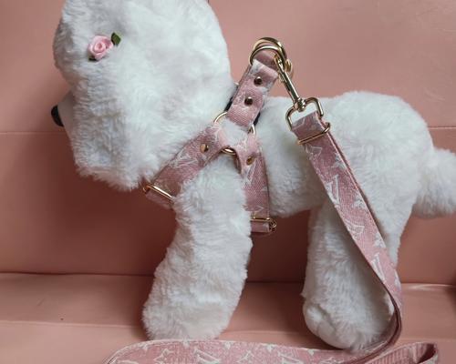 金毛牵引绳选购与使用全攻略，散步安全舒适指南