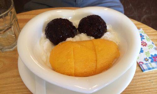 比格犬幼犬饮食训练指南：科学喂养提升活力与健康